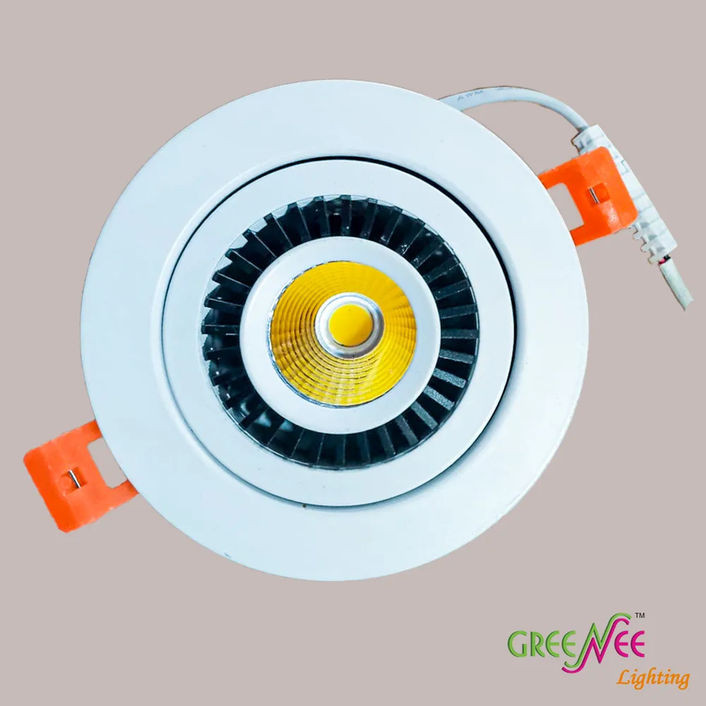 LED DOWN LIGHT 10W WW RECESSED ADJUSTABLE 360 DEGREES IP21